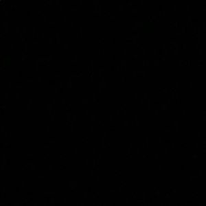 Meet your Posher, Trevor